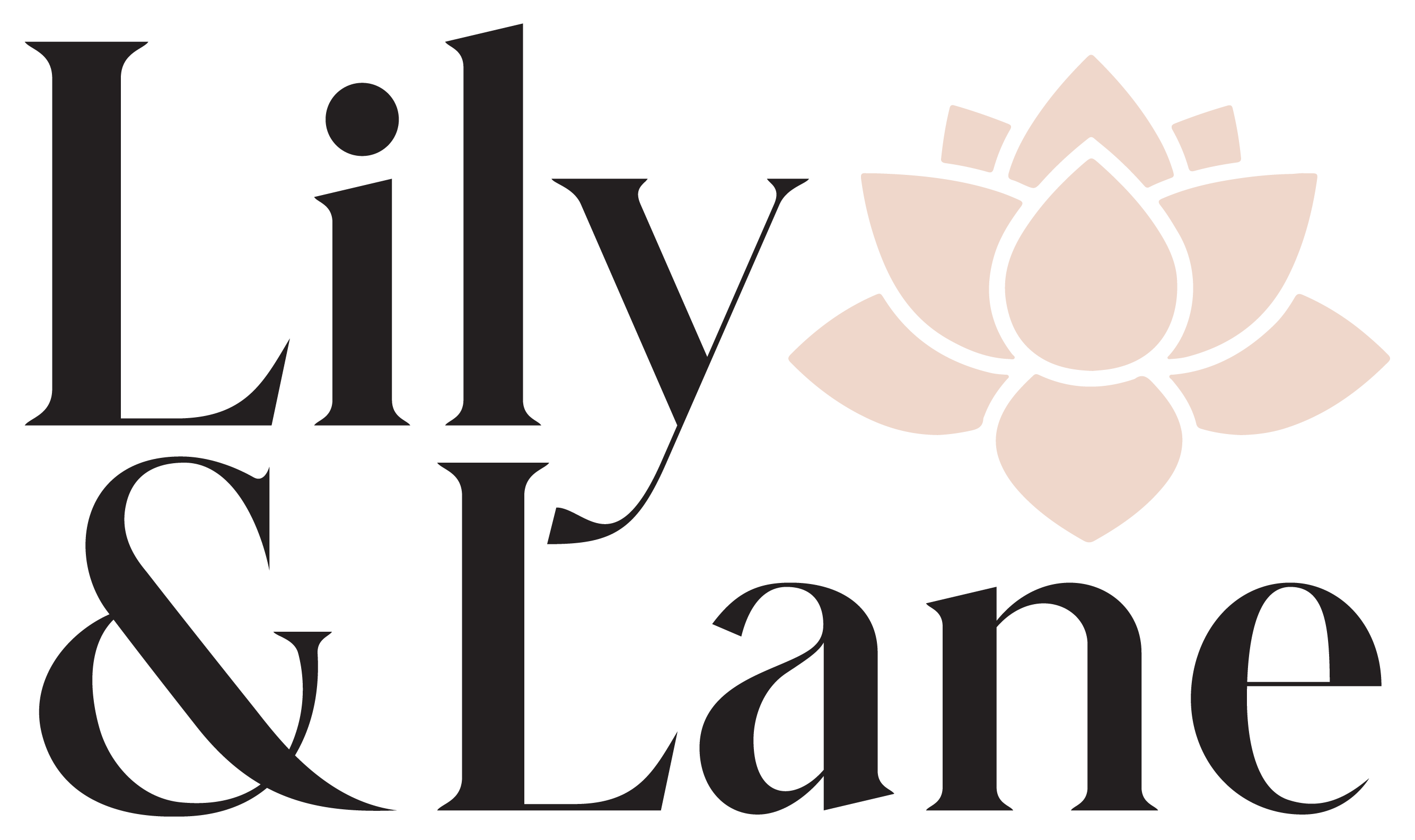 The Lily Lanes Leak: A Conspiracy Unravelled - d2sf56h