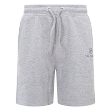 Load image into Gallery viewer, Validate Core Essentials Men&#39;s Stack Logo Shorts Heather Grey
